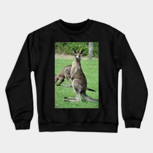 Australie - Newcastle, Kangourou Crewneck Sweatshirt